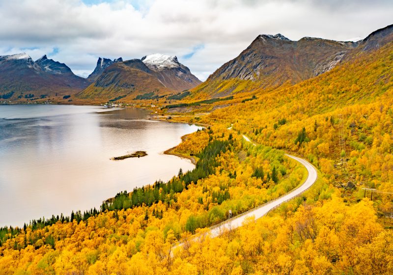 Senja